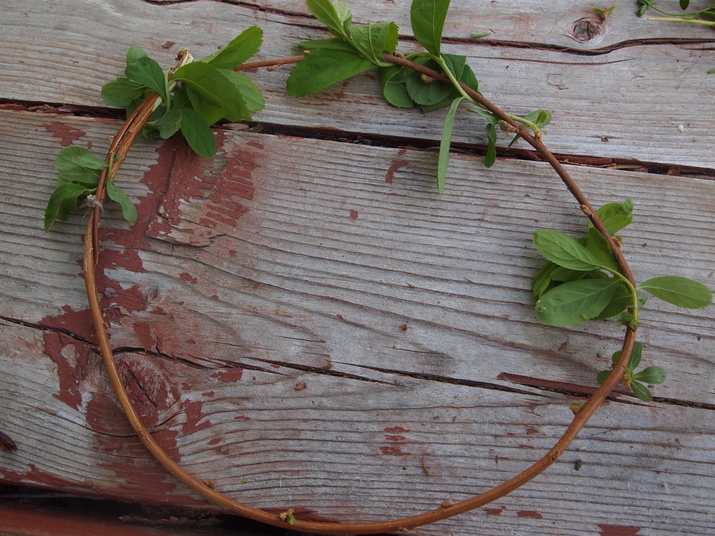 DIY Real Flower Crowns 5 Steps (with Pictures) Instructables