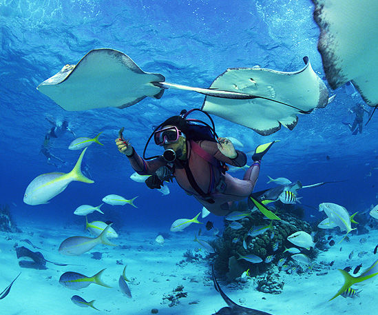 How to Plan a Scuba Diving Program in Thailand