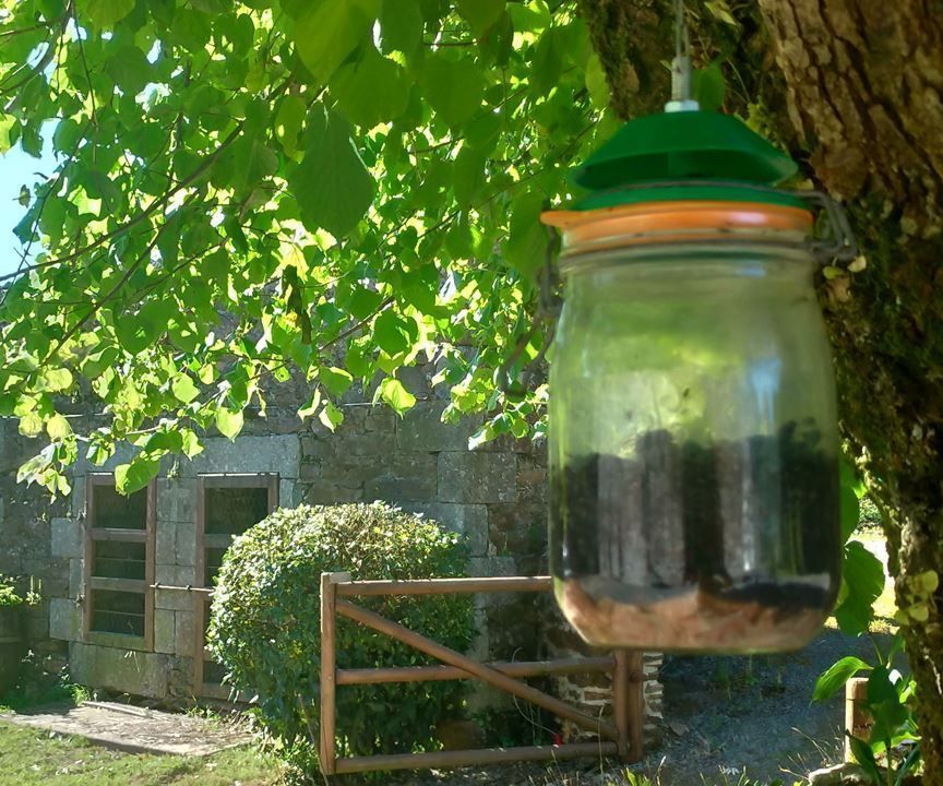 3d Printed Storage Jar Fly Trap