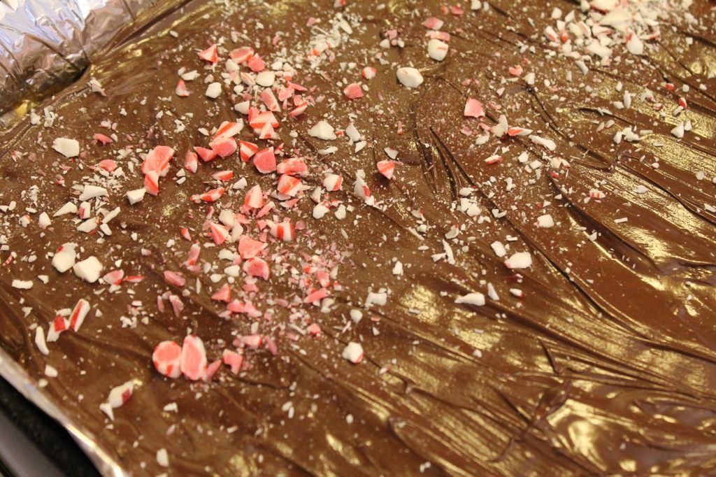 Delicious Chocolate Bark Recipe