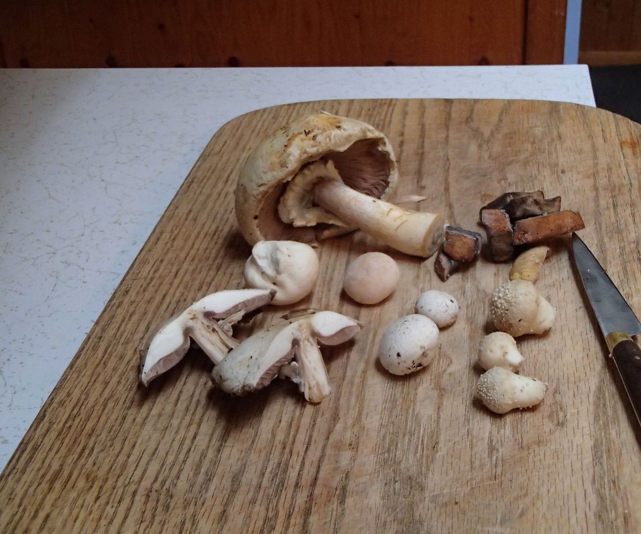 Wild Mushroom Omelette 