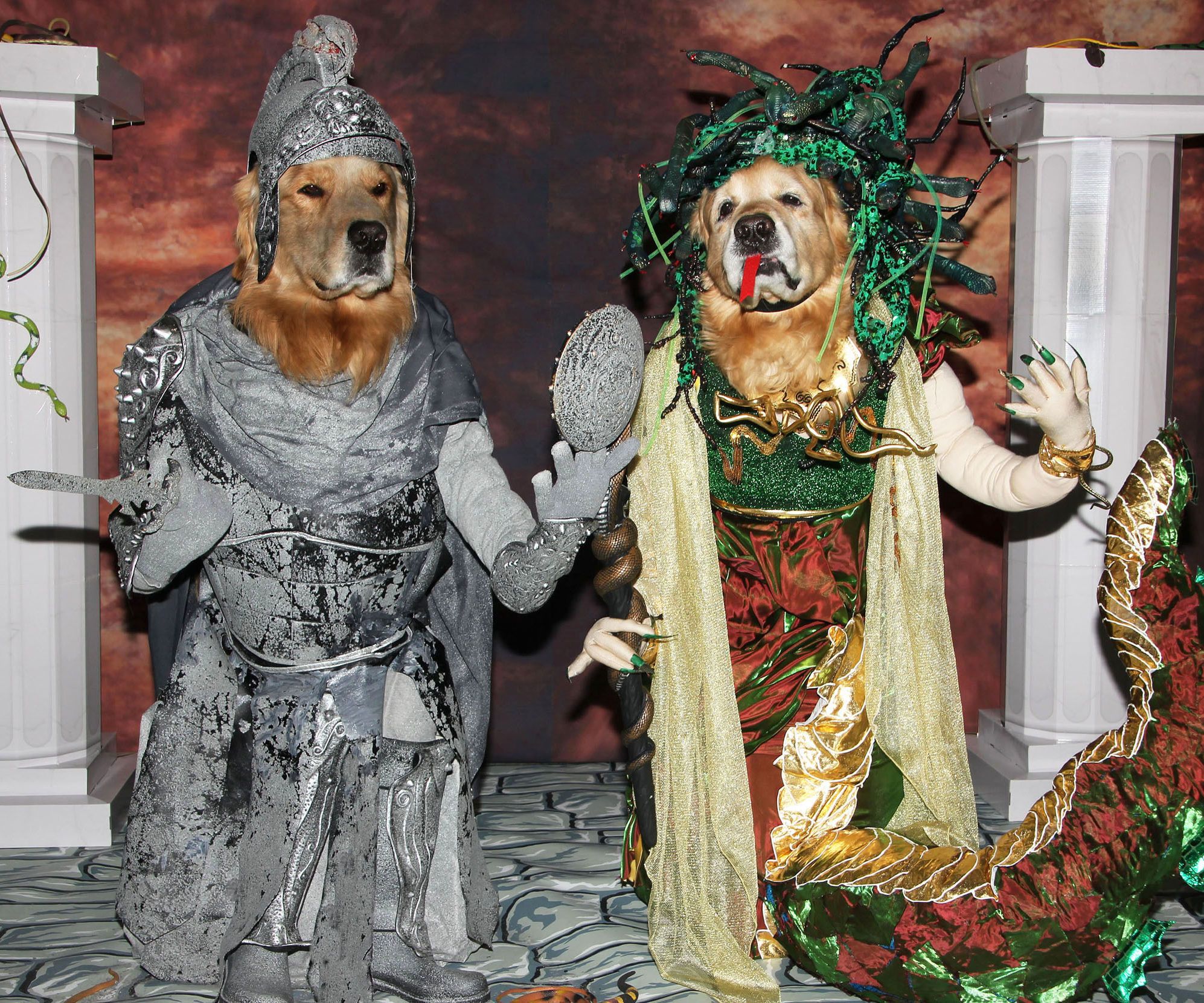 Phoenix As Medusa Turning Gryphon the Soldier Into Stone