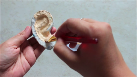 Step by Step How to Make 3d Human Ear Anatomy Model/Diagram : 5 Steps ...