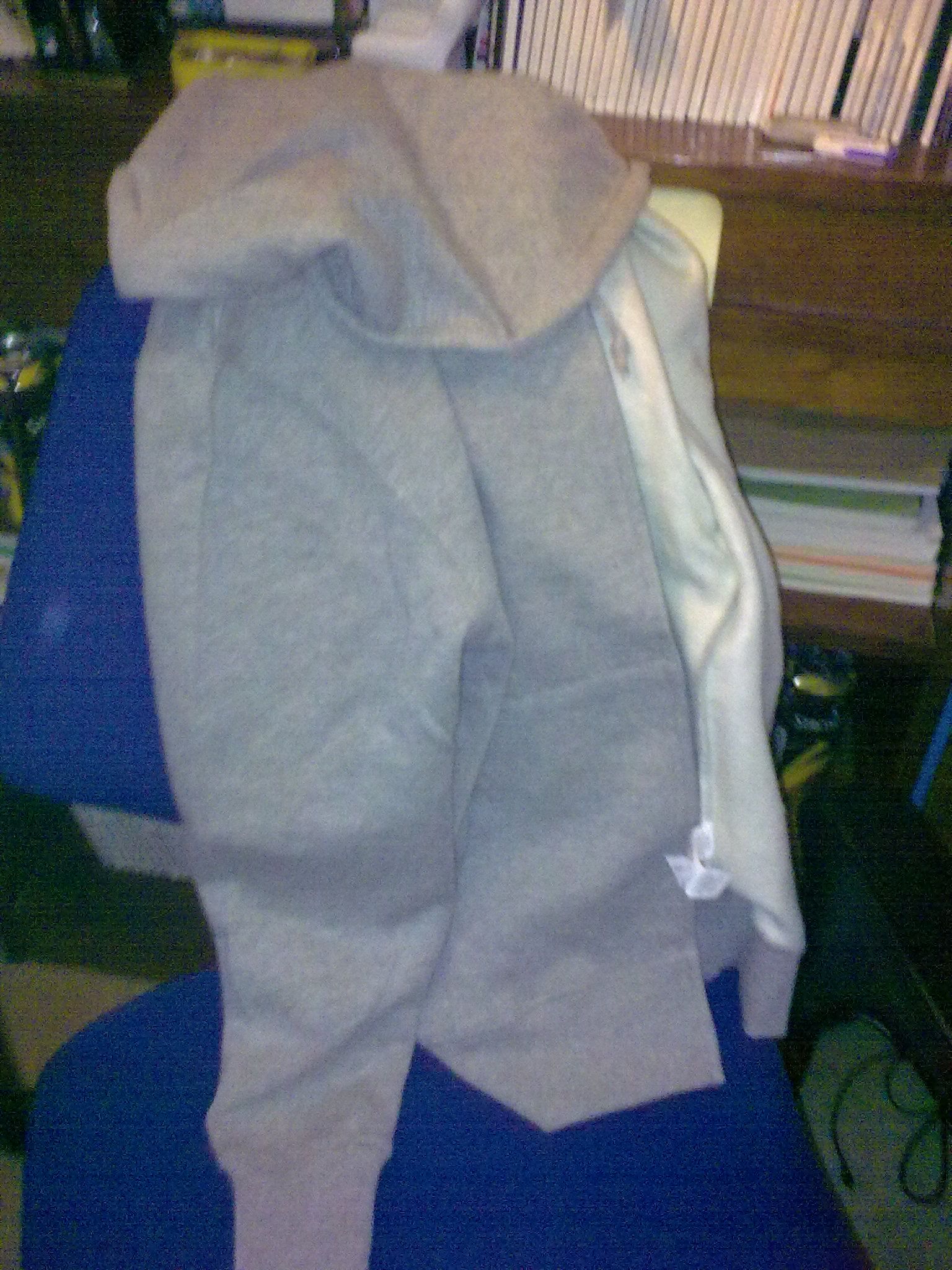 Hoodie Speakers/ Headphones