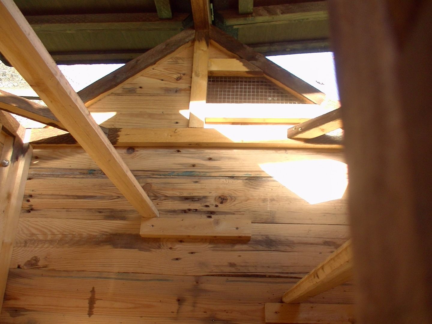 My Chickens Coop 9 Steps (with Pictures) Instructables