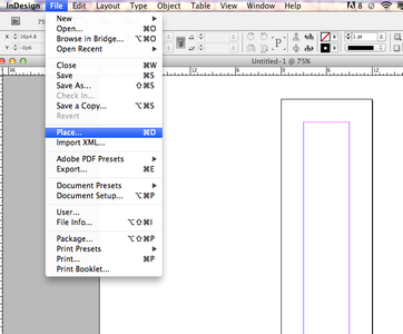 Step 5: Place Your Image Into Your InDesign Document. 