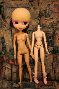 Step 4: Screw Pullip's Head to the New Body