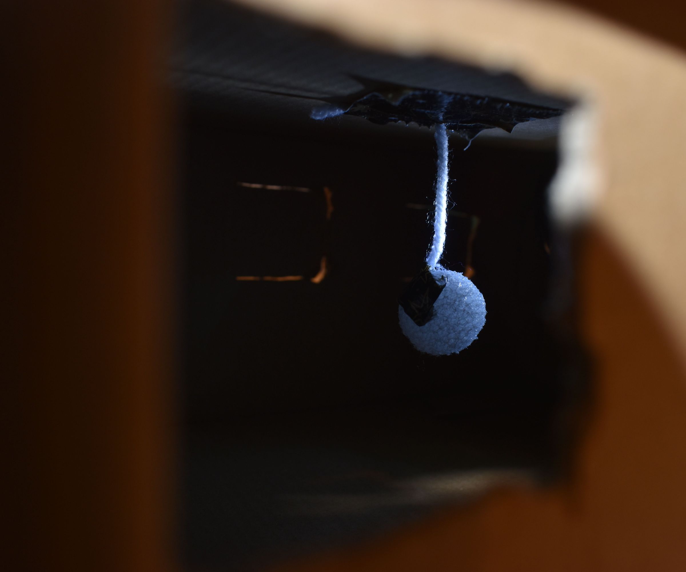 Educational Phases of the Moon Diorama