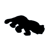 download {{ file.name }}