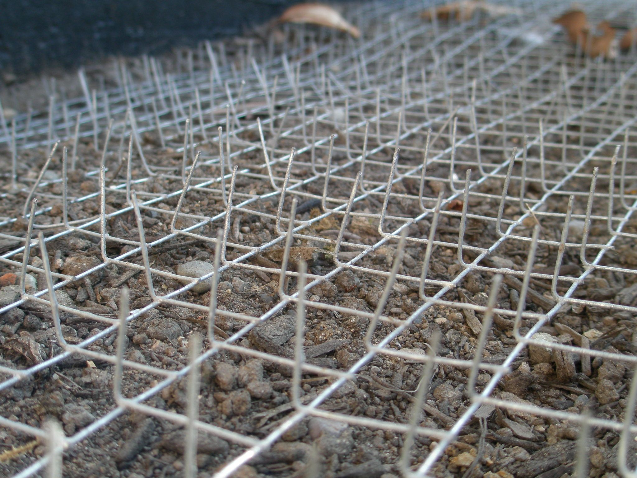 AntiCat Poop Garden Instructables