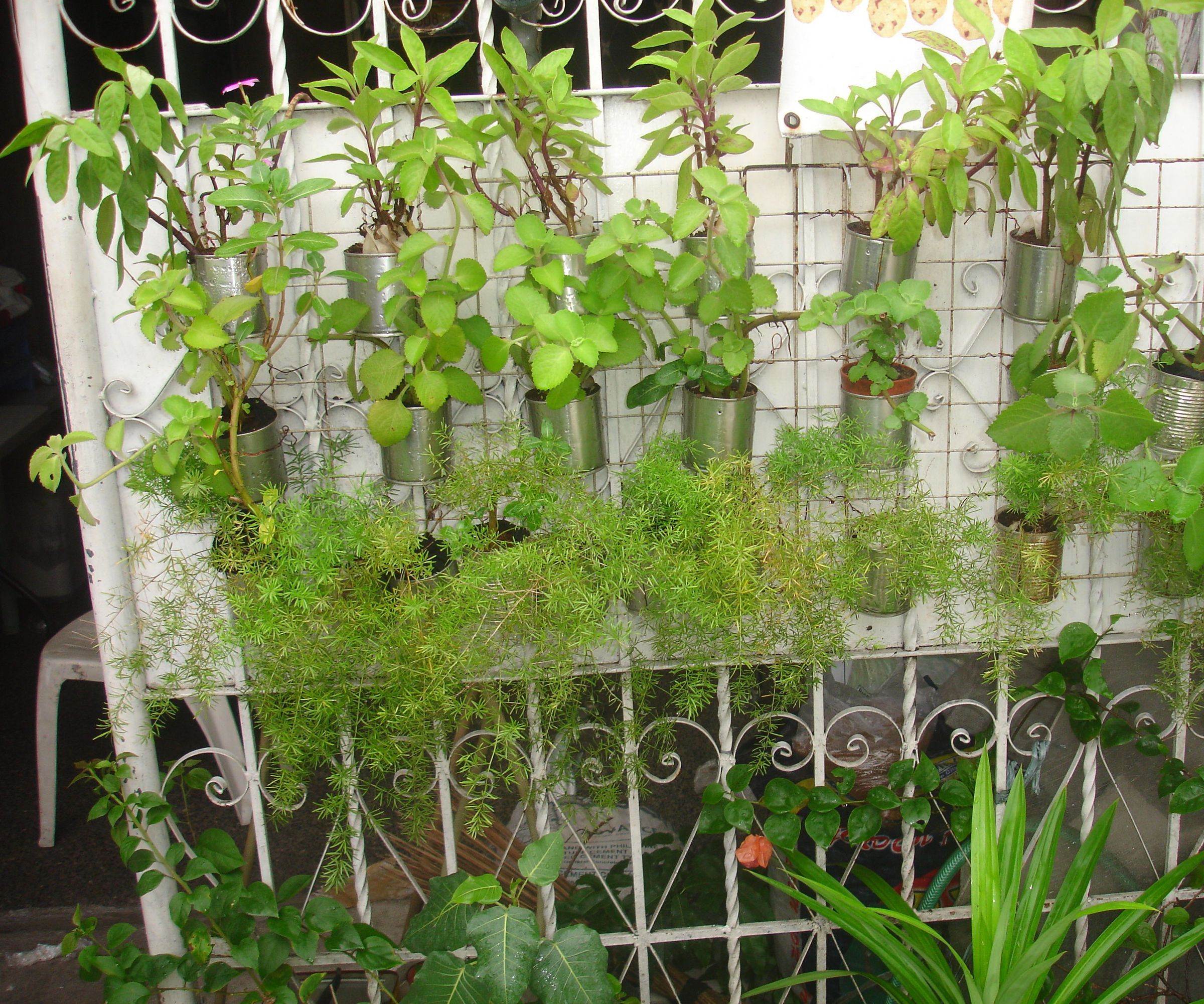 Green Wall Out of Parts Around the House