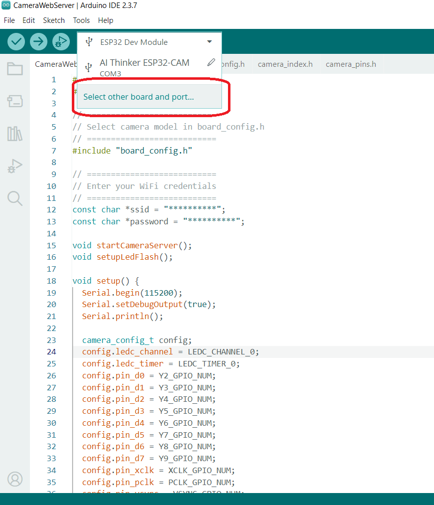Camera Web Server Example
