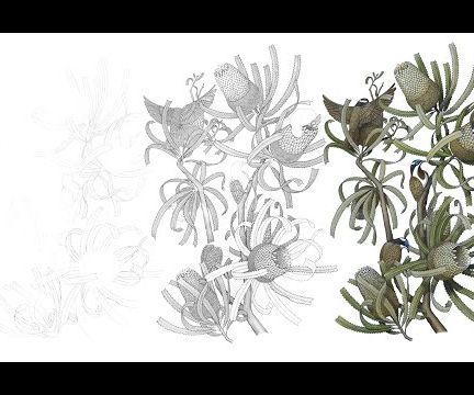 Ink Pen and Watercolour Drawing