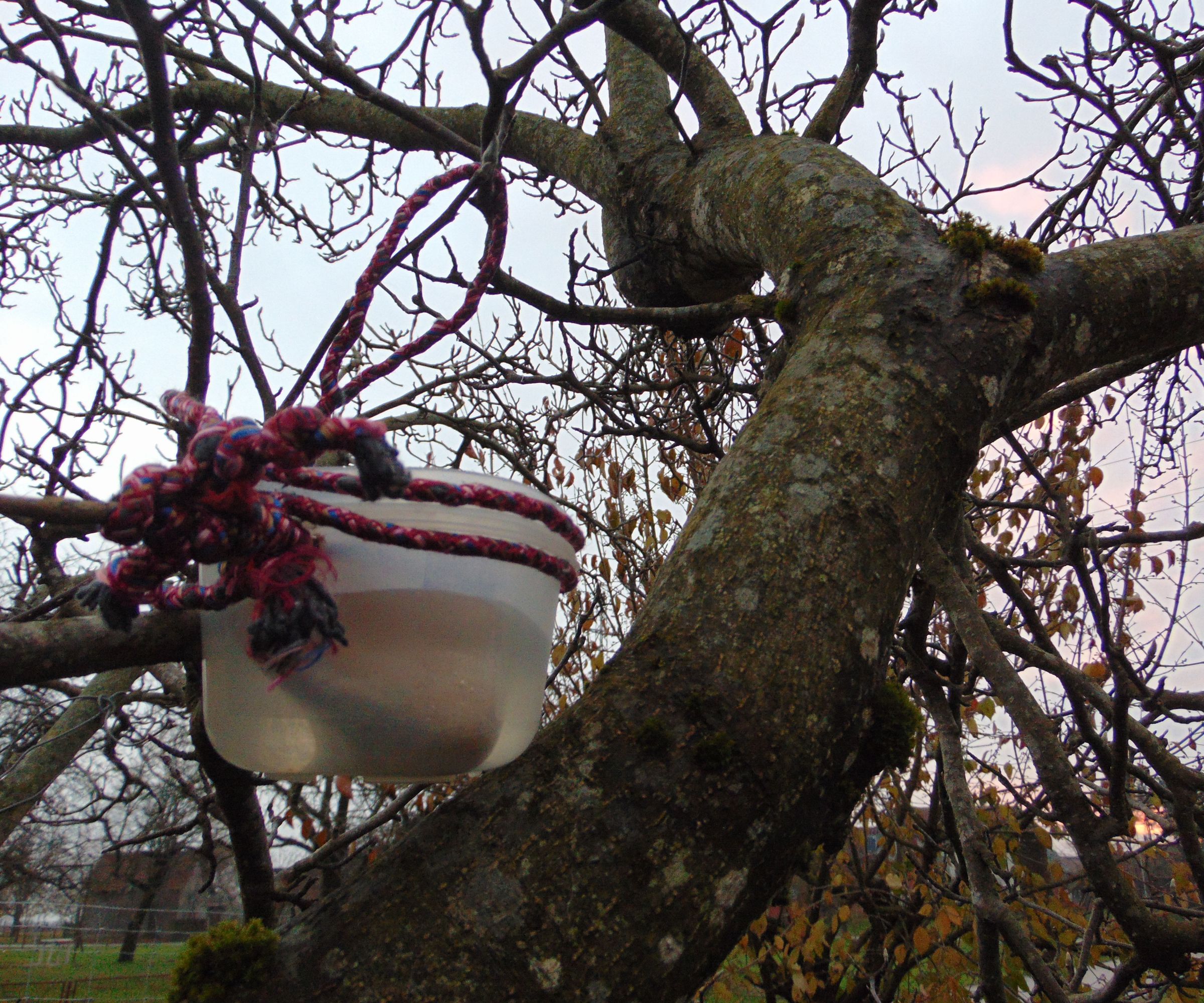 DIY Bird Water Feeder