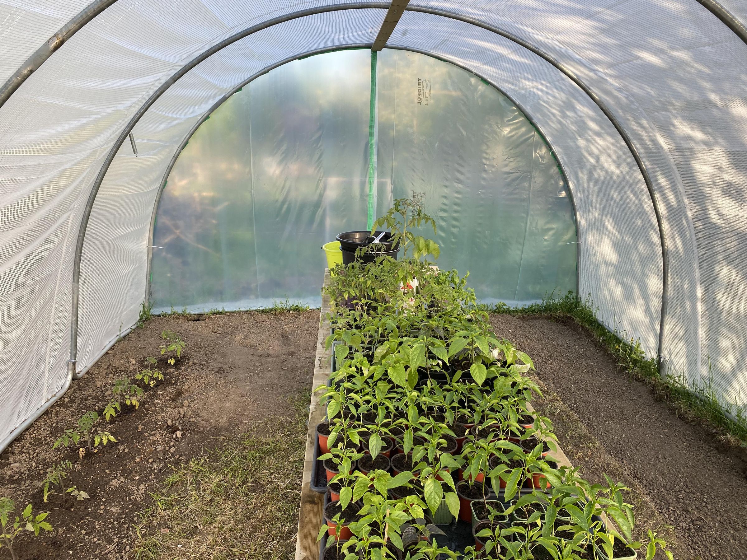 Make a Tunnel Greenhouse From Old Trampolines 5 Steps (with Pictures