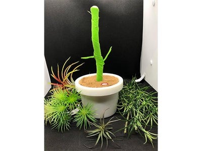 Preparing Cleopatra Body