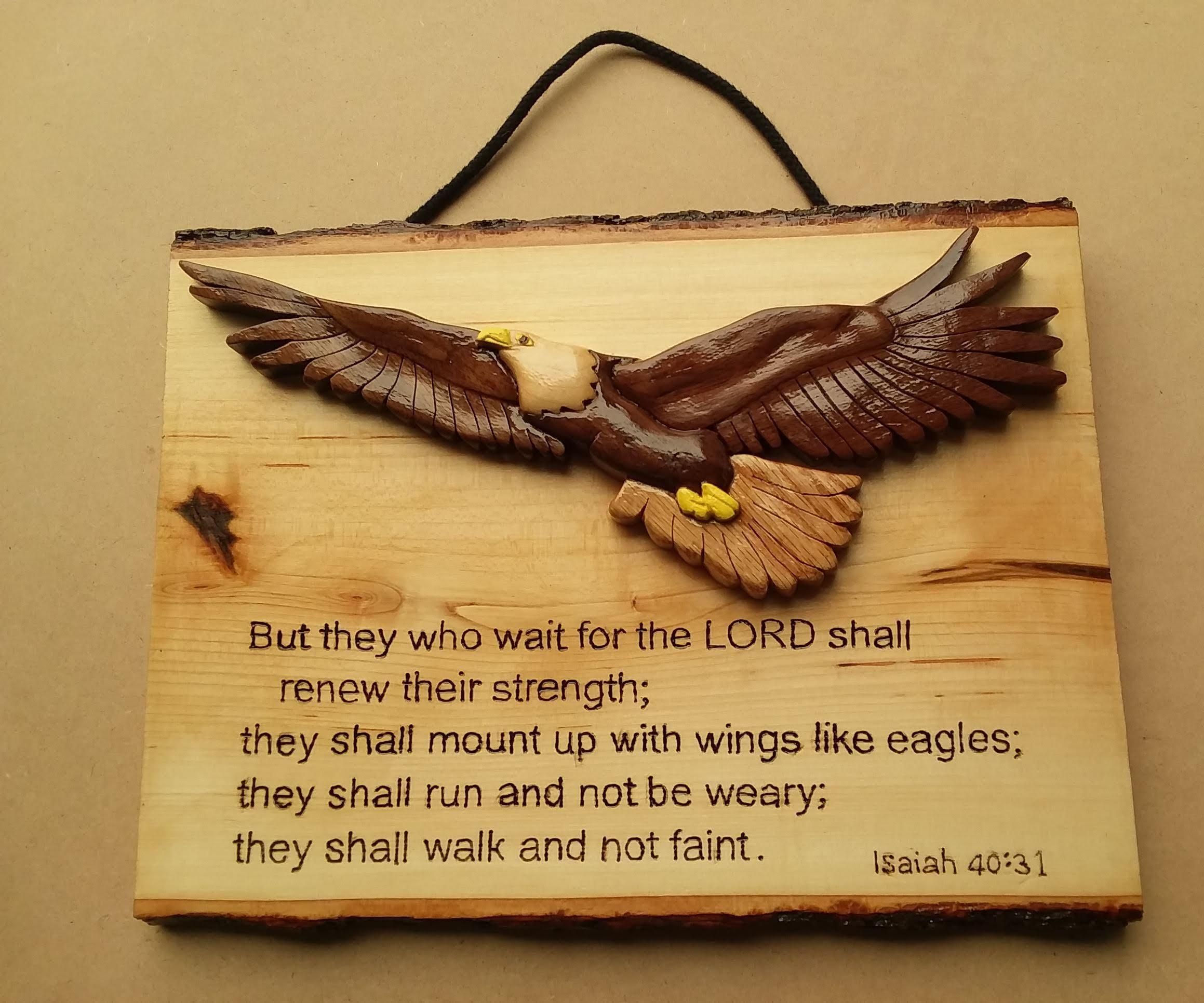 Eagle Project 3