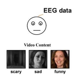 Dataset