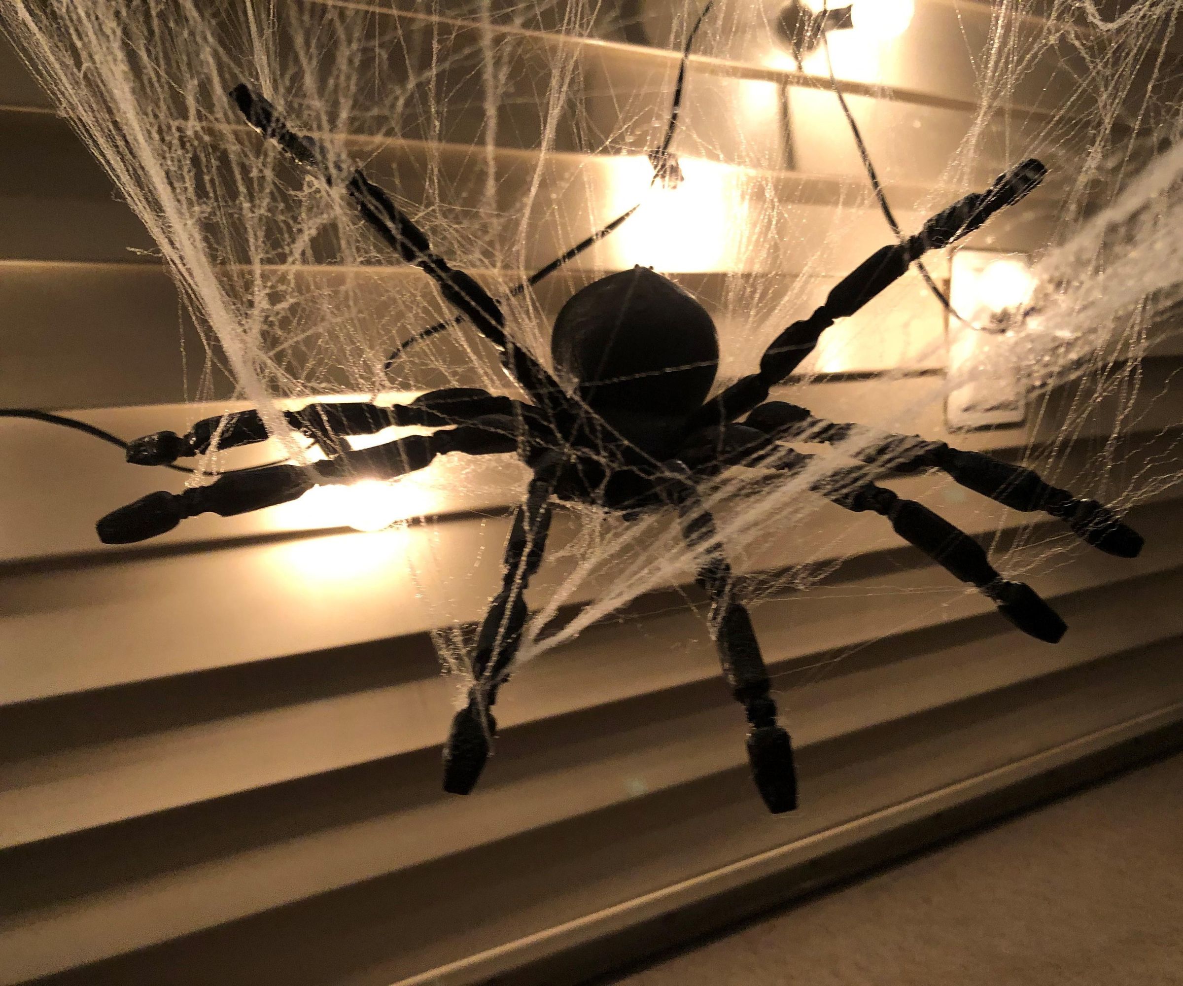 3D Printed Spider