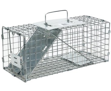 How to Set a Live Cage Trap