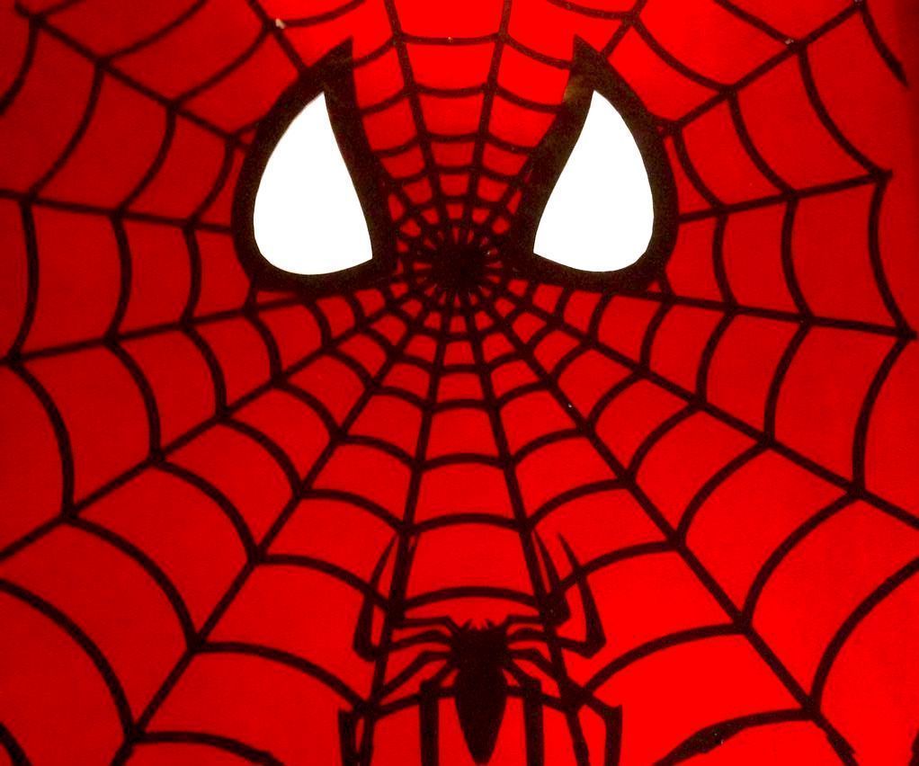 Spider-Man Vinyl Tray Cover