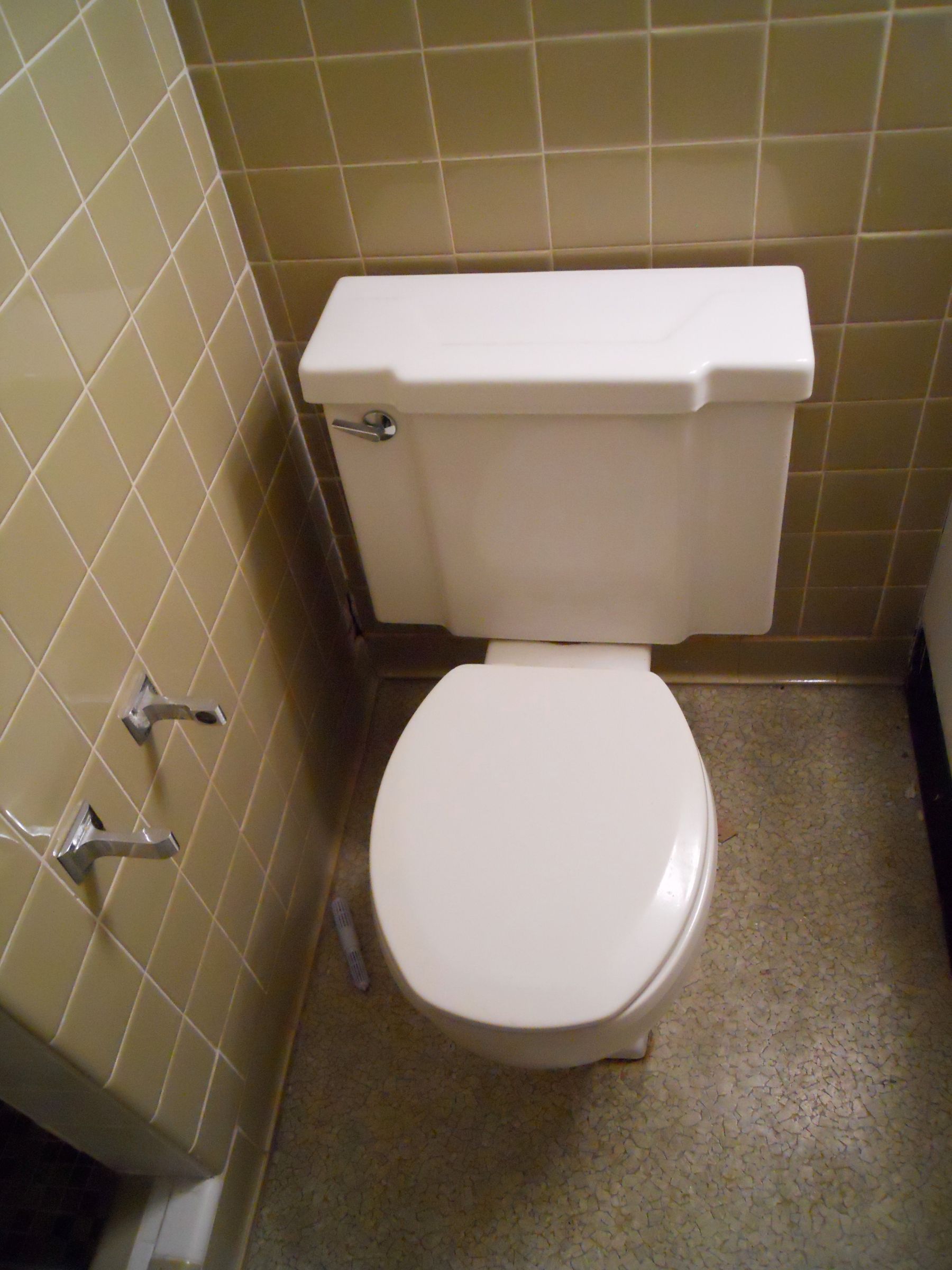 Removing a Toilet; Home Improvment