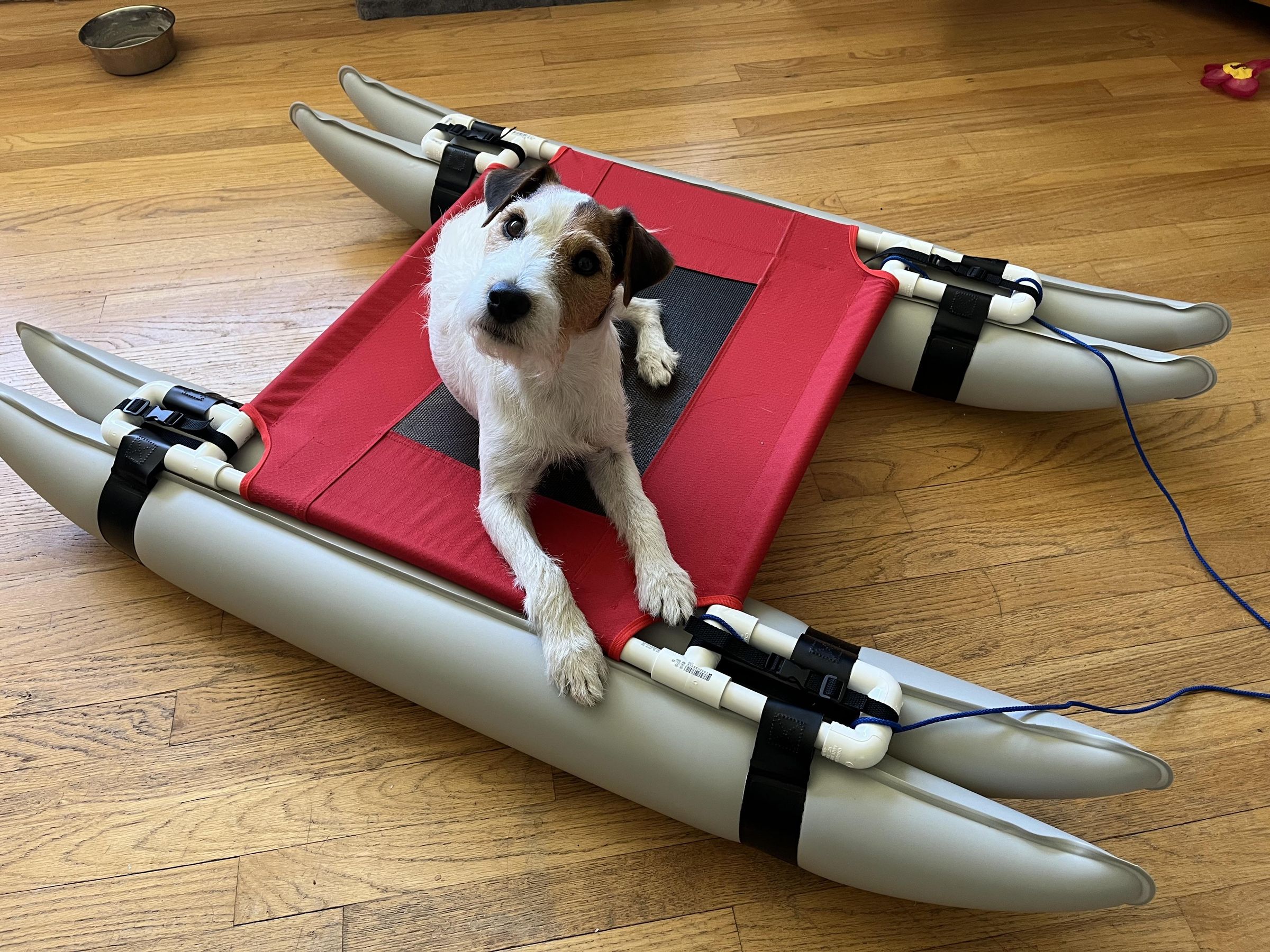 Build a "Dogamaran": a Catamaran-style Float for Small Dogs