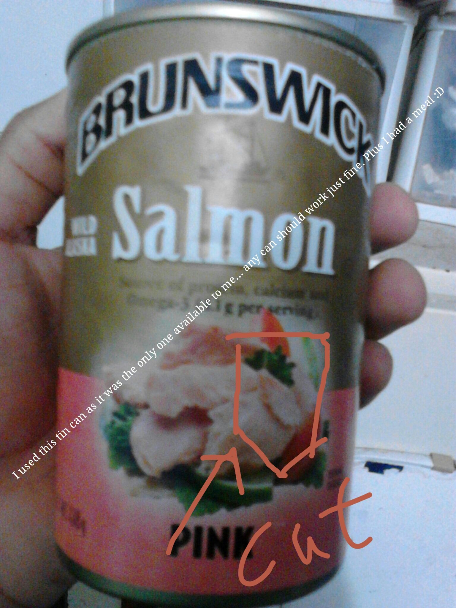 Scouting Legion Keychain (snk/aot Shingeki No Kyojin)