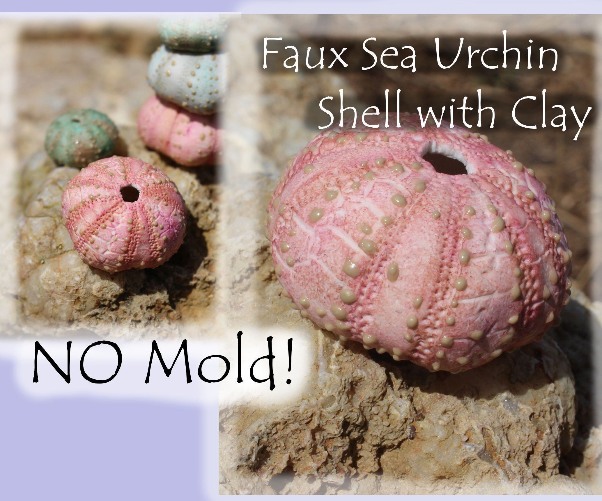 Sea Urchin Skeleton From Clay: Display or Jewelry Purposes