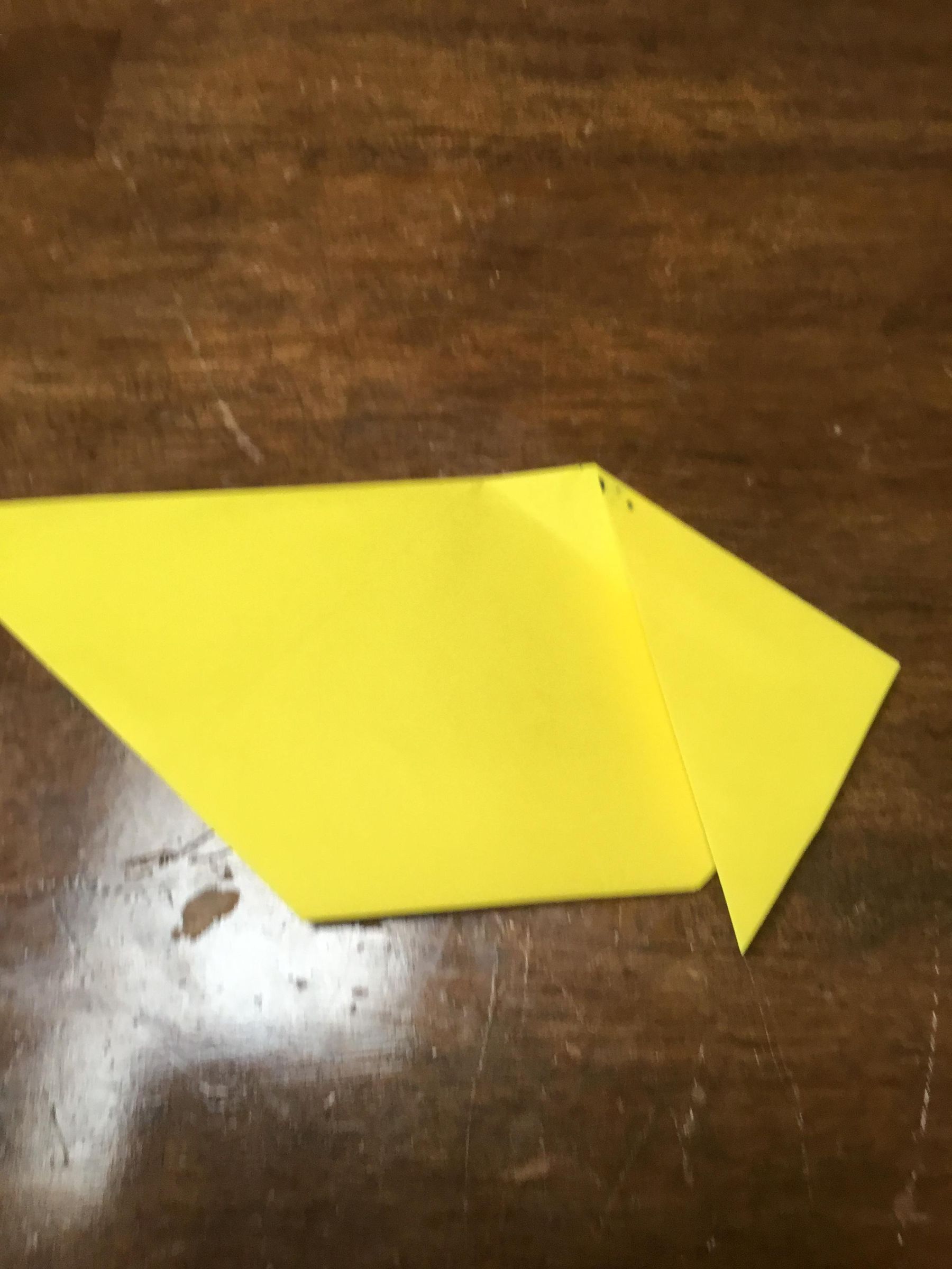 Dog Face Origami : 4 Steps - Instructables