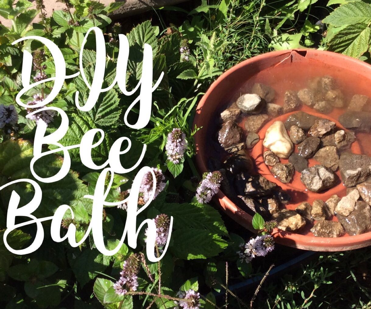 Make Your Own Bee Bath 