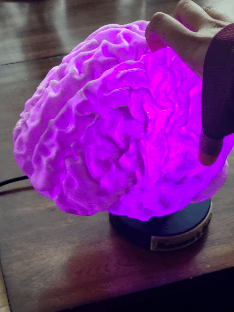 How To: From MRI to 3D Printed Brain Lamp