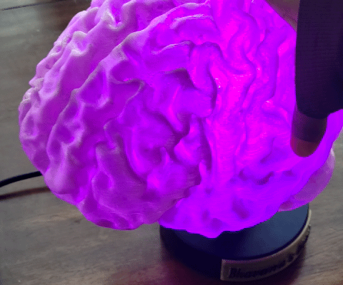How To: From MRI to 3D Printed Brain Lamp