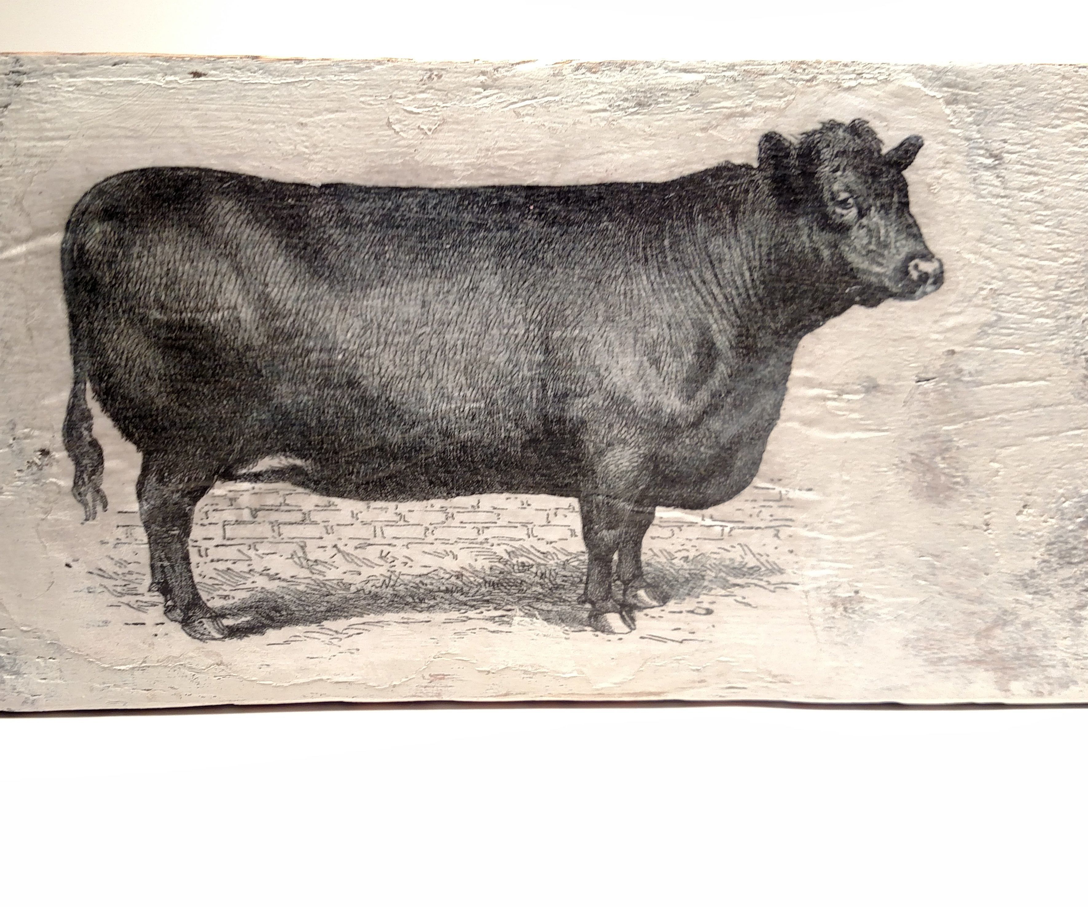 Silky Smooth DIY Chalk Paint Recipe