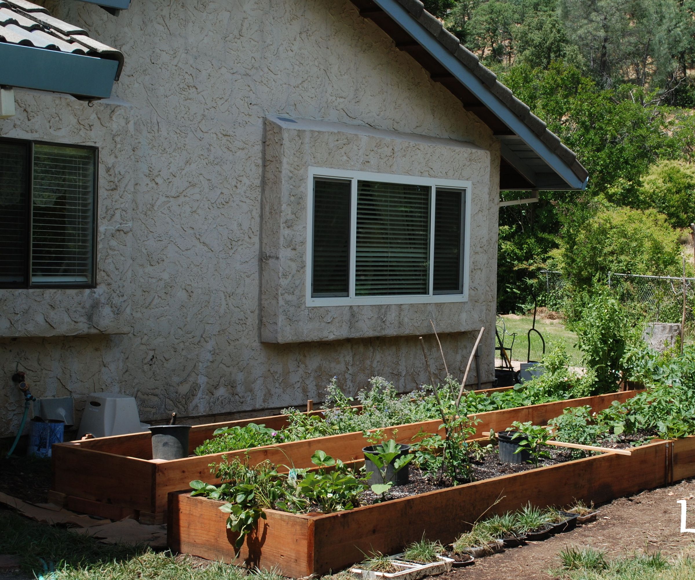 Redwood Garden Beds