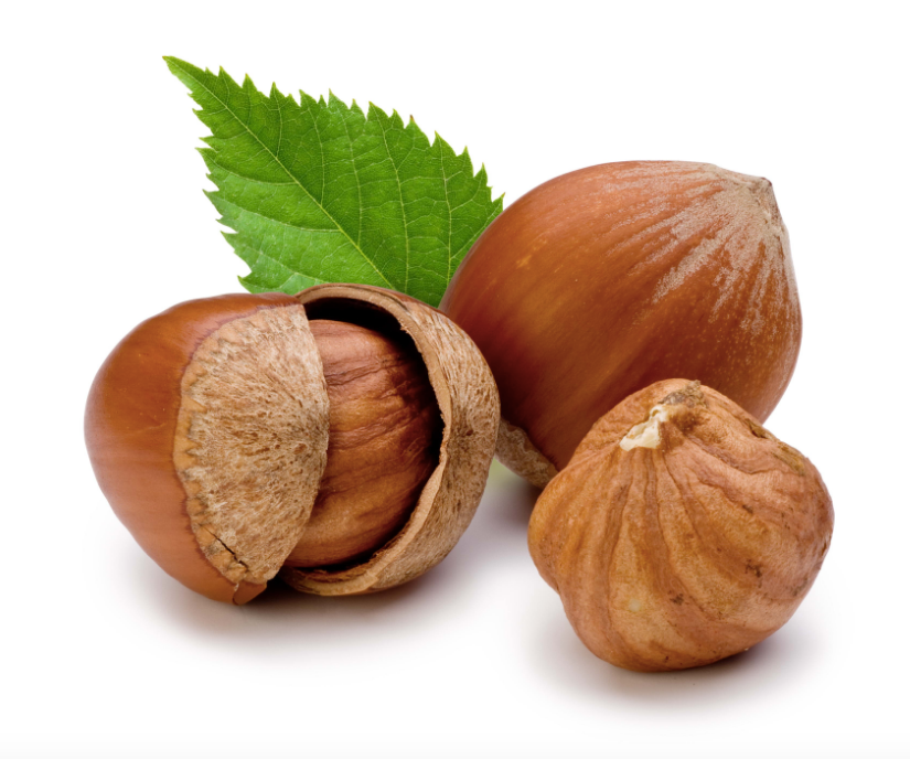 Shrubs to Hazelnuts