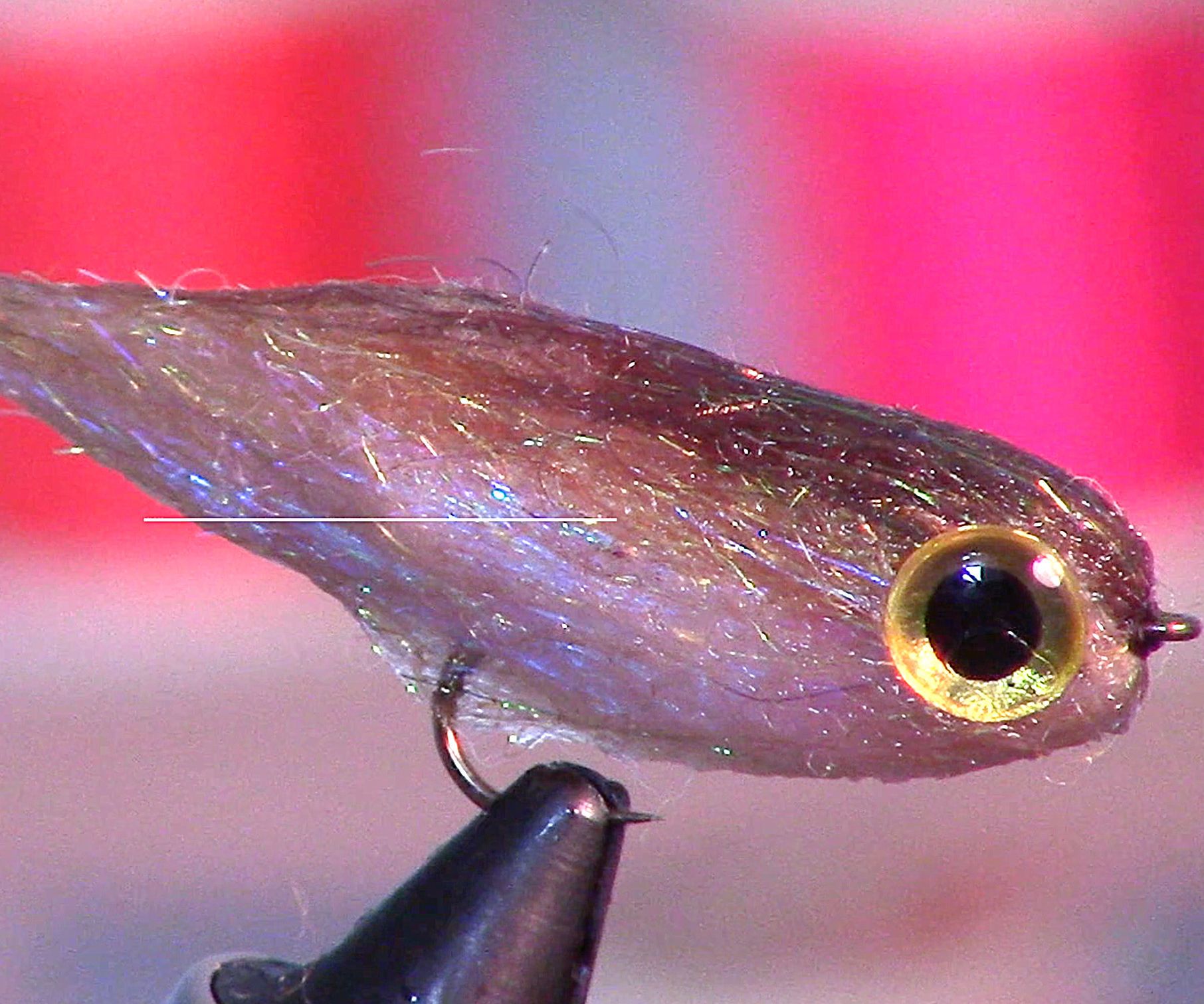 Little Minnow Fry