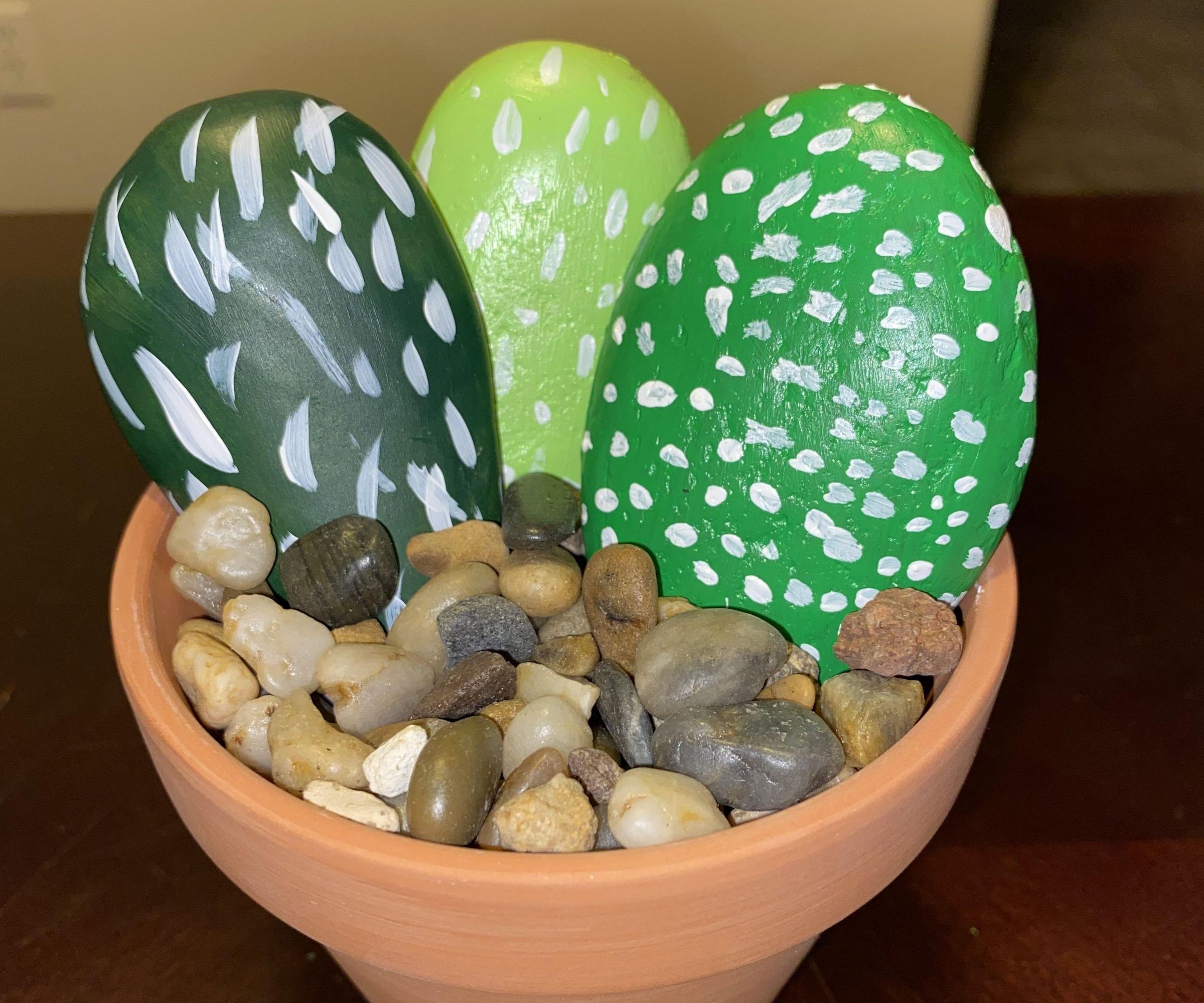Living Rocks in a Pot
