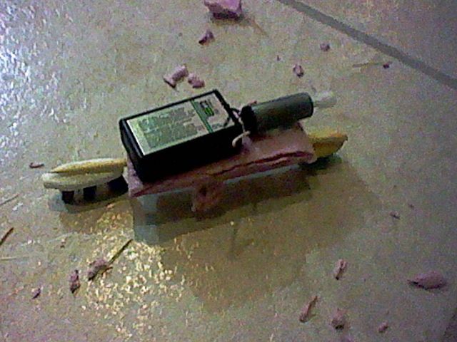 Train Bristlebot