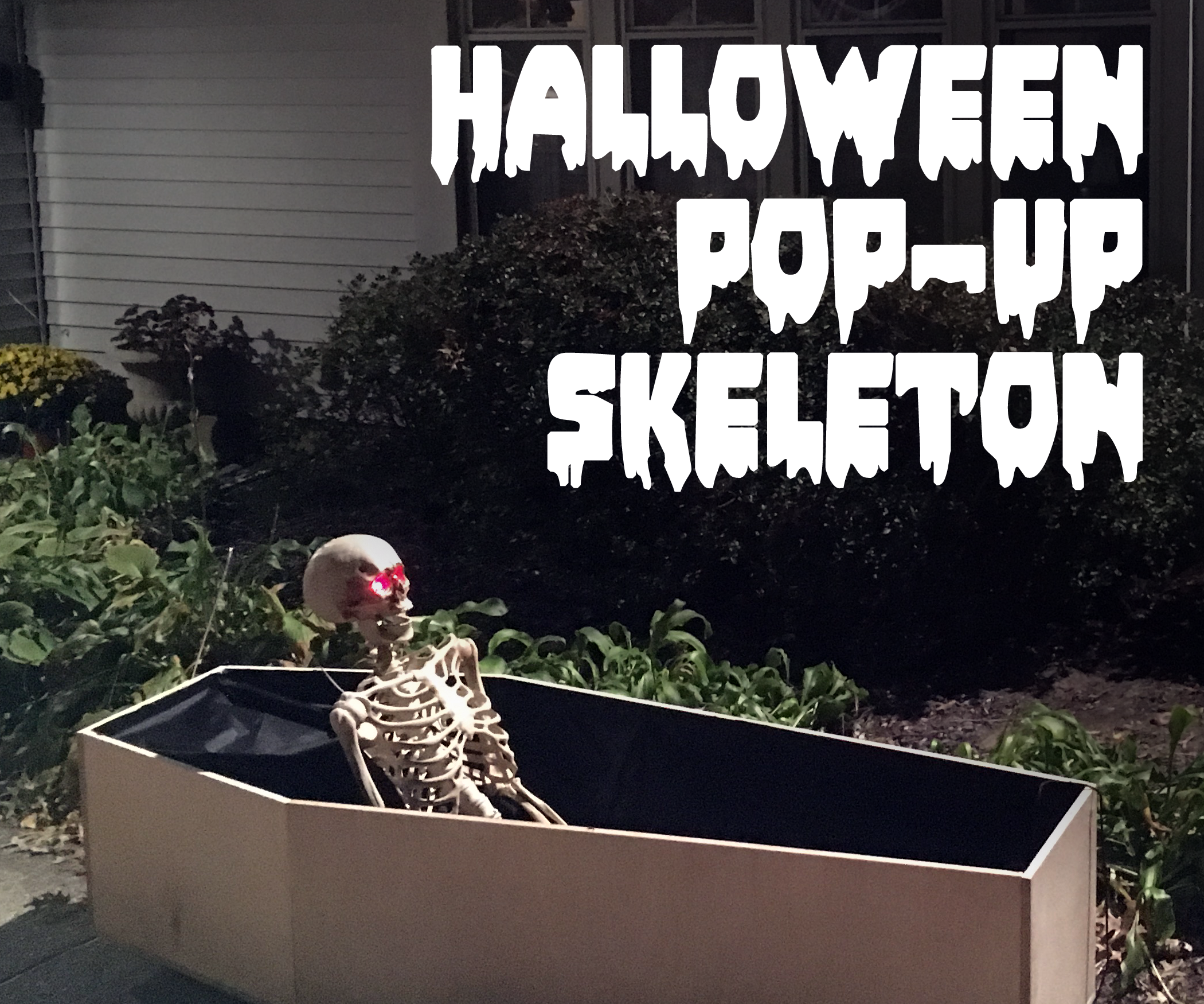 Halloween Pop-Up Skeleton (In a Coffin)