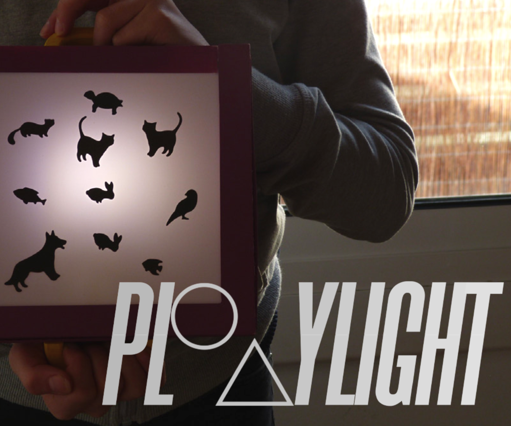 Playlight: Play With Light!