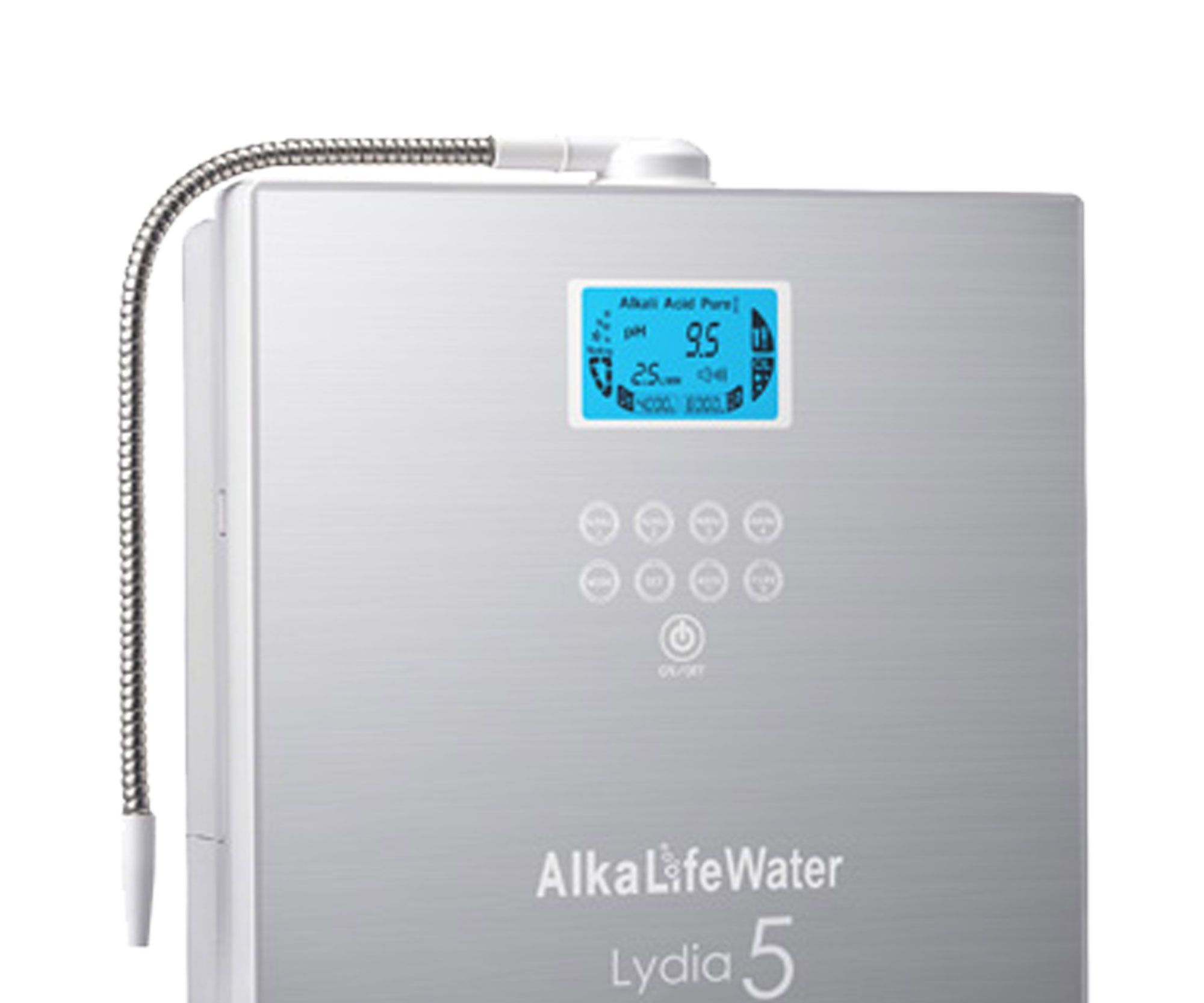 The Wonderful Things About Having a Wate Rionizer Machines.