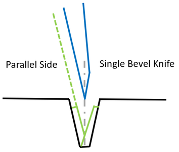 Some Final Considerations