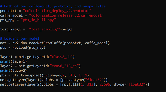 Image Colorization Using BrainyPi and Python : 8 Steps - Instructables