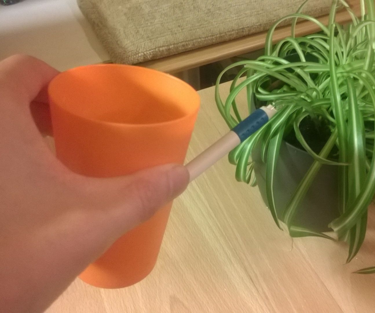 Watering Cup