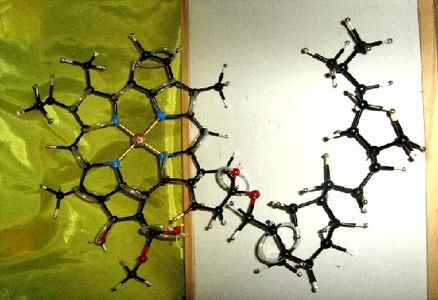 Home Made Molecular Model Kit