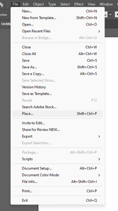 Insert Image: File -> Place
