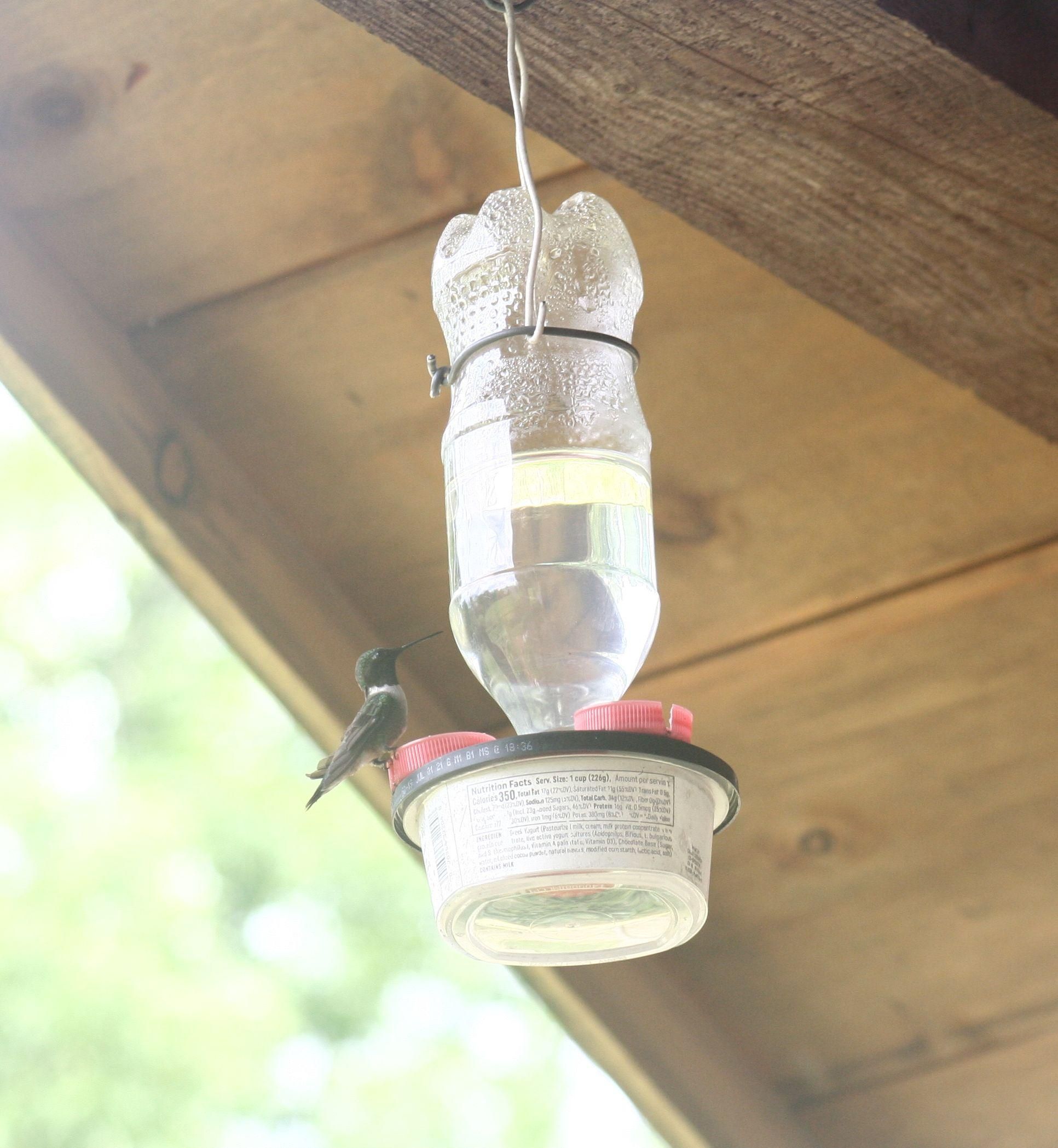 How To Draw A Hummingbird Feeder