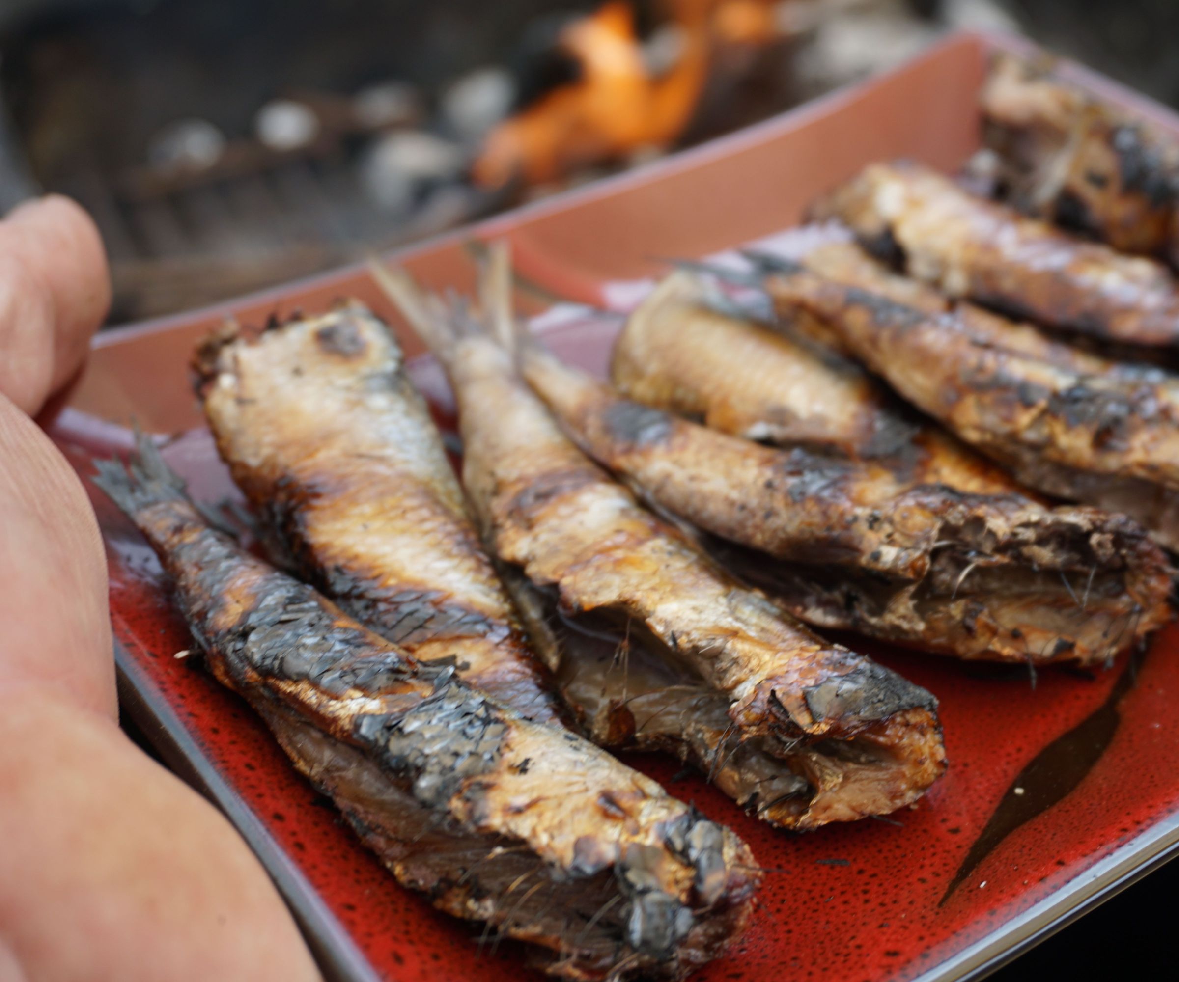 Sardines Cooked on Vine Cuttings.