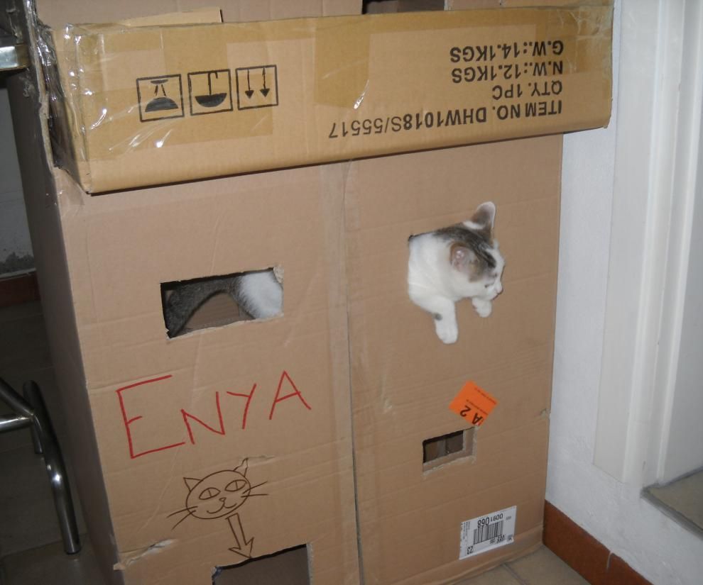 Cat Castle (very Quick and Easy)